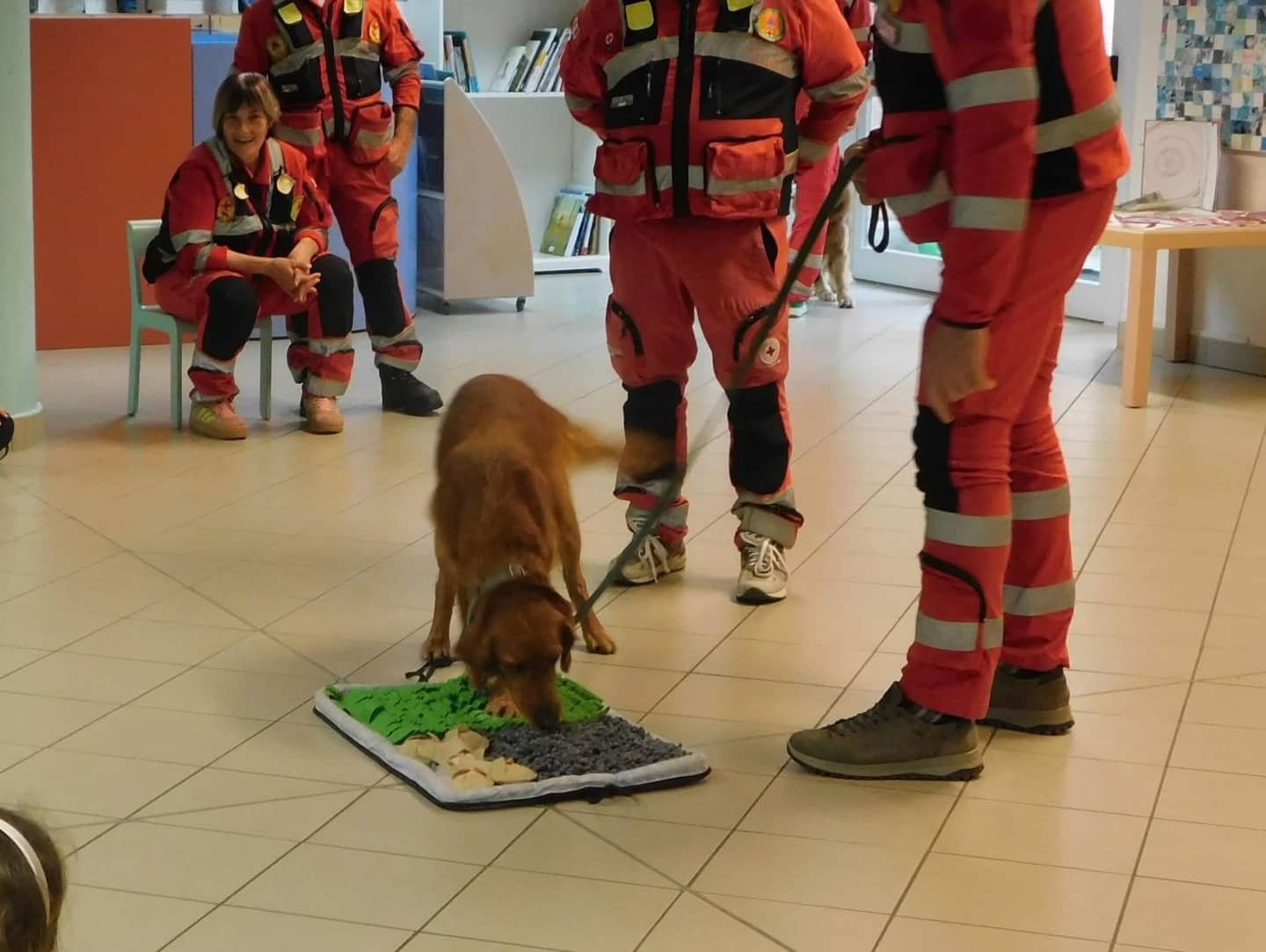 Volontari di Croce Rossa con un cane impegnato in un tappeto olfattivo